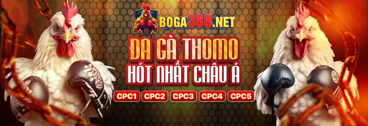 Đá gà trực tuyến tại 88net nhà cái